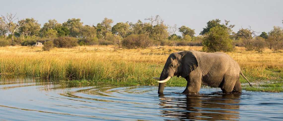 Siti di incontri per gli abitanti dello Zimbabwe in Sudafrica