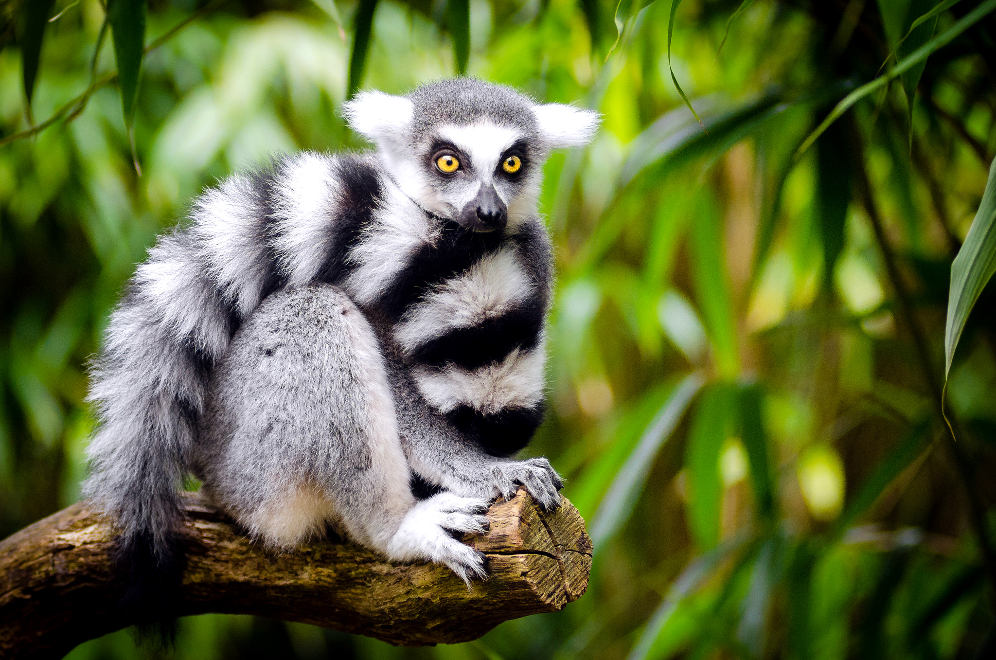 tour madagascar turisanda