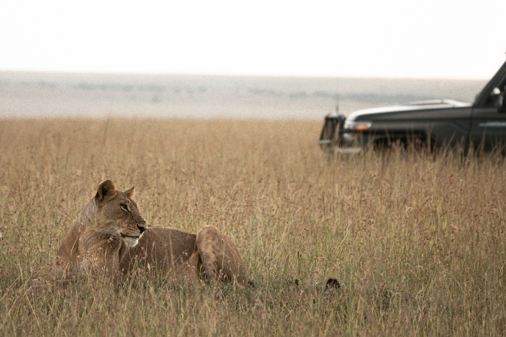 safari in kenya con bambini