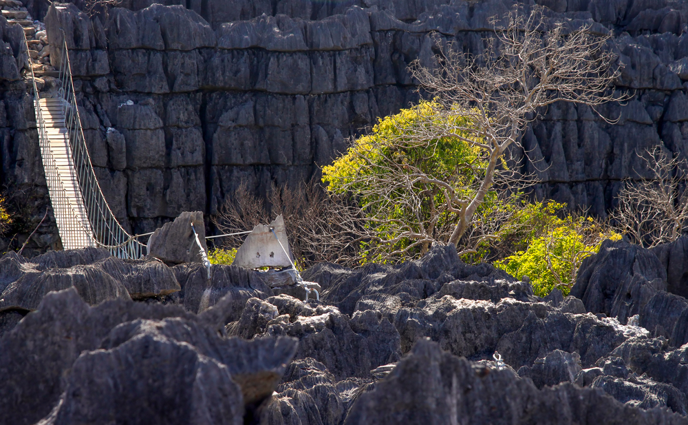 Madagascar dagli Tsingy al mare - 17 Agosto