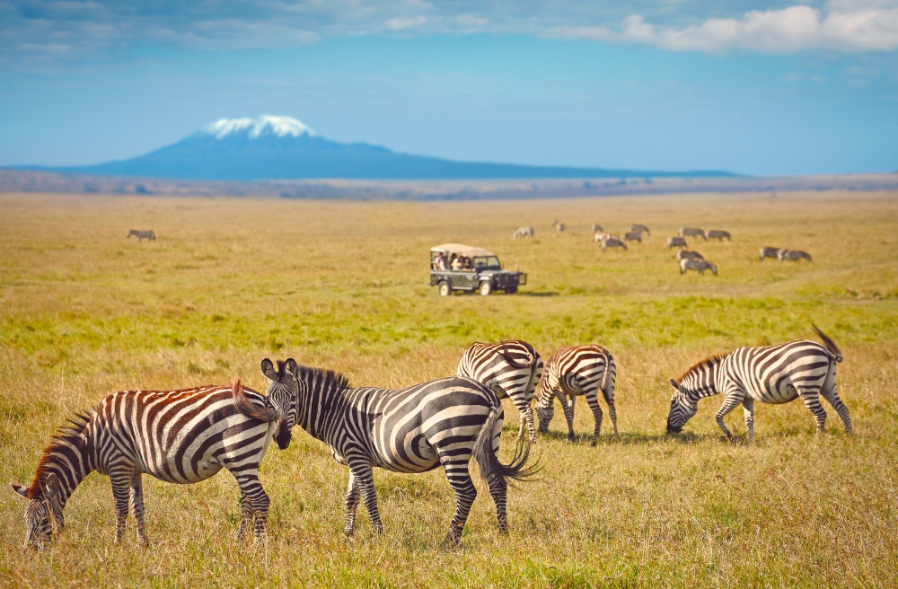 Kenya Explorer - 9 Agosto