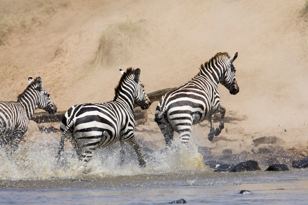 Kenya Explorer e mare - Agosto