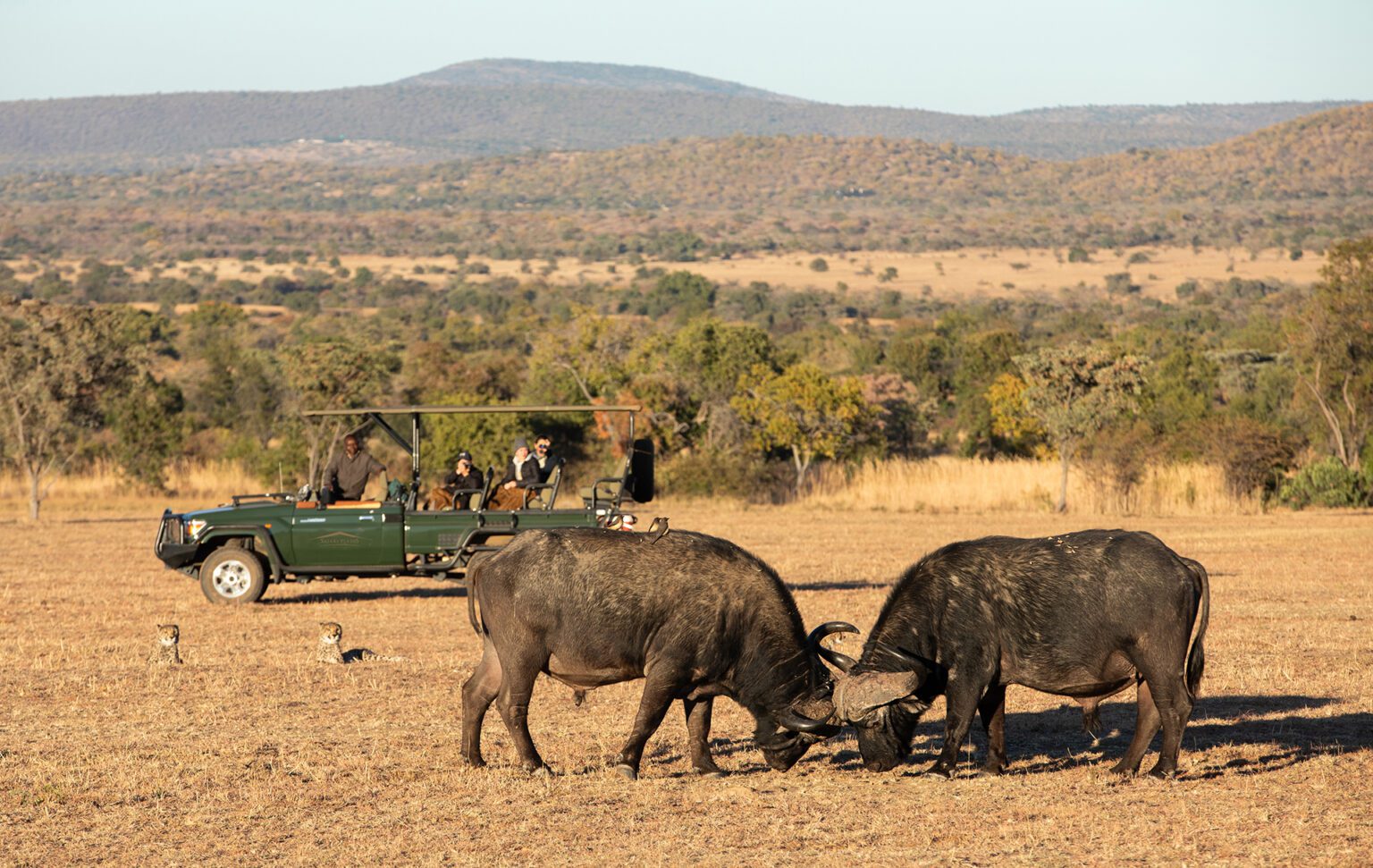 Sudafrica Malaria Free - Mabula Reserve