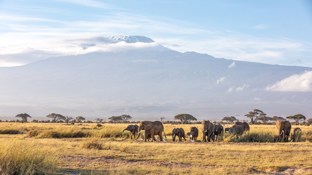 Kenya Amboseli, Tsavo e mare - 6 Agosto